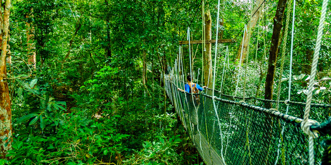 Circuit individuel en Malaisie et Thaïlande